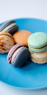 CÔNG TY TNHH LAM THÁI PHÁT