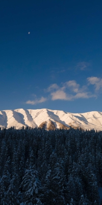 CÔNG TY TNHH LAM THÁI PHÁT