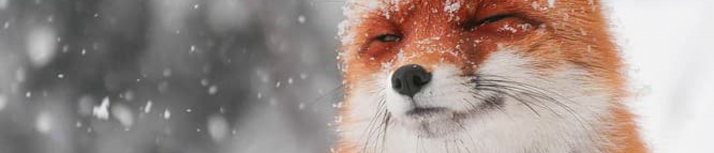  Đại Lý Dầu Nhớt – Kinh Nghiệm Và Cách Nhập Hàng Giá Sỉ Cho Người Mới