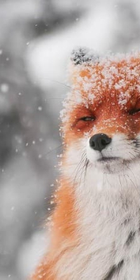 CÔNG TY TNHH LAM THÁI PHÁT