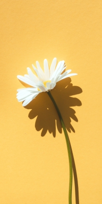 CÔNG TY TNHH LAM THÁI PHÁT