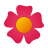 Quần áo - giày dép