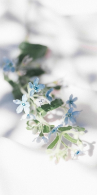 CÔNG TY TNHH LAM THÁI PHÁT