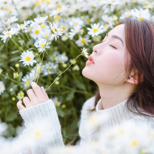 Công Ty Vận Tải Trần Dương